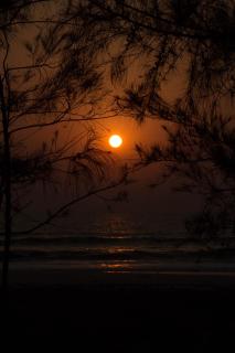 Mangalore Waterfront VIlla by EWA Properties - Suratakal - 8