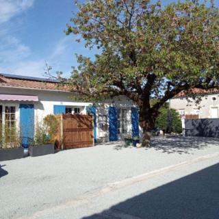 La Norélie - Saint-Sulpice-de-Royan - 0