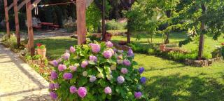 apartmani Nina Šišan - Šišan - 3