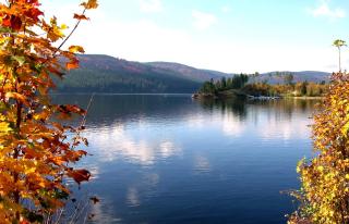 Fewo Blumbach Nr 2, Schluchsee, Feldberg - Schluchsee - 1