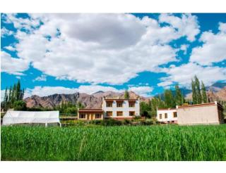 Kartok resort, Leh - Shey - 6