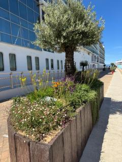 Marina Club Luxury private studio with Pool and incredible views - 1