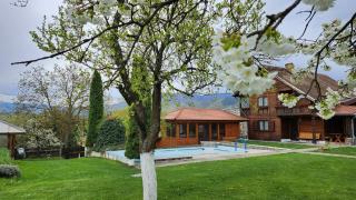 Casa Amalia Tocile -Sadu - Sadu - 9