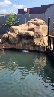 SNEL GUEST LODGE - Alberton - 2