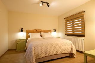 Dryas Guesthouse - Polydrossos - 5