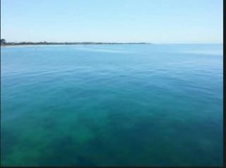 Spacious Townhouse Central St Leonards - 3