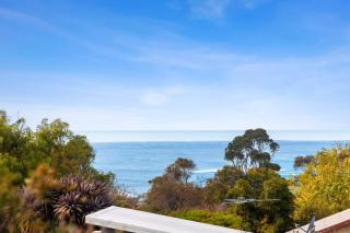 Surf and Sea Torquay 650m to beach - Torquay - 0