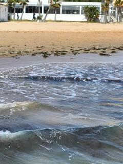 Angela 's holiday house - 8