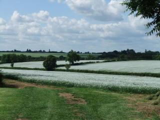 The Granary self-catering cottage on a working farm - Buckinghamshire - 1