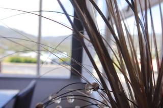 The Mountain Riveting House at Risdon vale - Risdon - 9