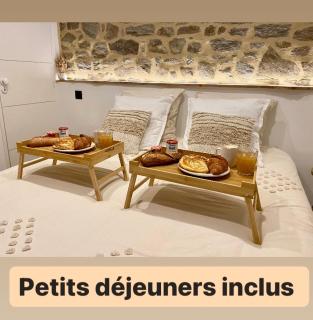 Villa Lily Spa, chambre d’hôtes avec spa privatif - La Vicomté-sur-Rance - 5