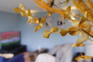 Hobart Horizons Hideout Close to CBD - 5