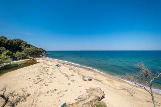 IRI.MIA nature home - 4