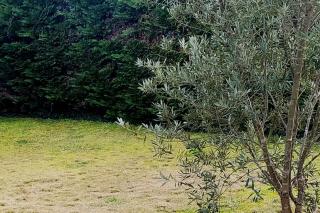 Chambre lit double, Salon, cuisine, jardin - 1