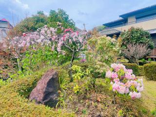 貸別荘花摘里　伊豆高原 - 6