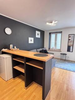 Lokal typu Studio 66 - 1