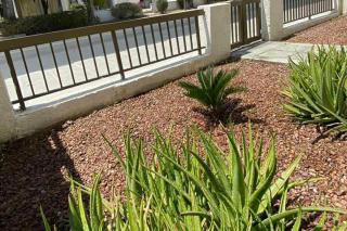 Dalia 9 (1 Bedroom Apt) - Paphos - 7