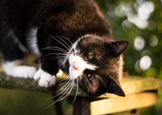 Friesenhof Jöns - 3