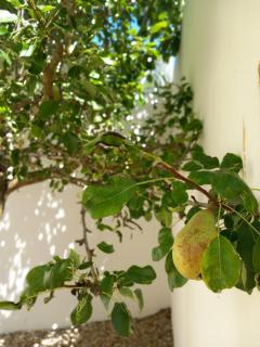 Bright and Spacious Villa with Patio and BBQ - Serra d'el-Rei - 1
