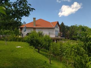 Harmónia Vendégház - Vonyarcvashegy - 2