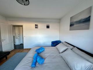 Amazing view lago maggiore - 3