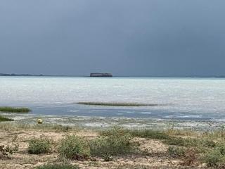 Villa Clocomi - typique de l'ile d'aix vue mer - 1