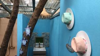 Aruba Local Stay - Paradera - 4