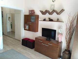Svitlana home , metro Dafni - Atene - 3