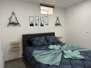 Ferreira House - Seia - 7