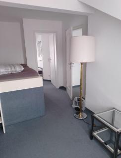 Pension für Monteure in Dresden, Zimmer mit eigenem Bad und großer Gemeinschaftsküche - Dresda - 3