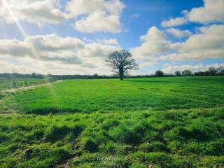 The Plough Inn Farmhouse - Private Holiday House - Lenwade - 5