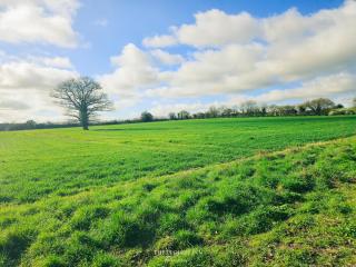 The Plough Inn Farmhouse - Private Holiday House - Lenwade - 4