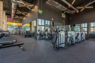 Luxurious Unit in Miami - 4