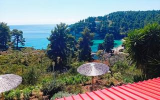 Villa Milia on the sea - Milia - 4