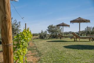 Courela dos Tojos - Alandroal - 7