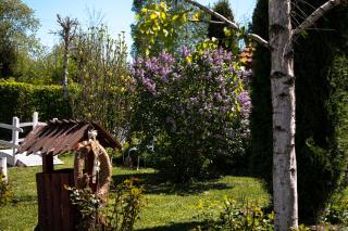 PENSIUNE RESTAURANT POIANA AVRIGULUI loc de joaca pentru copii - 7