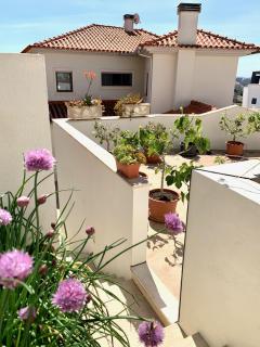 Two Palms beach Villa - Nazaré - 4