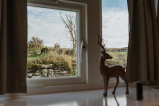 Kilchrist Castle Cottages - Campbeltown - 3