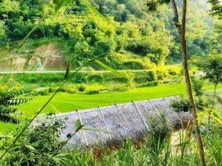 Pu Luong Riverside Lodge - Hương Bá Thước - 6