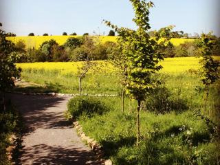 The Chilterns View - Wallingford - 8