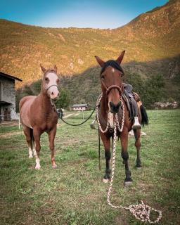 Chalet Valchiavenna - San Cassiano - 1