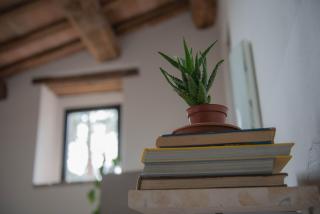 La casa del Colle - San Ginesio - 2