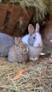 SAKÀ Vacation House - 8