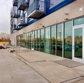 Studio View Of Downtown Near Lake Michigan Plaza Grey - 1