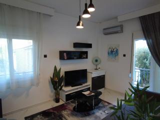 Dimitras apartment - PalaiónTsiflíkion - 5