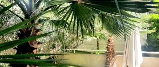 Villa Pearl - Nizza - 9