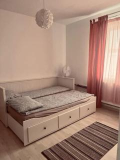 Lorand's Place near the River - Cluj-Napoca - 9