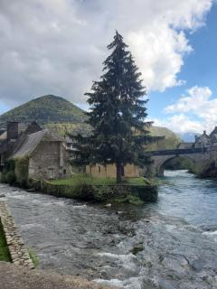 Studio cosy classé 3 étoiles dans cœur historique - 2