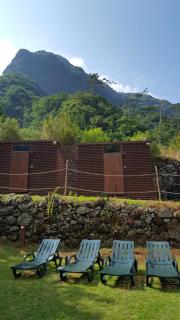 Nature Retreat - Laurel Forest - Seixal - 1