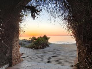 Luz de Torremar - Oropesa del Mar - 8